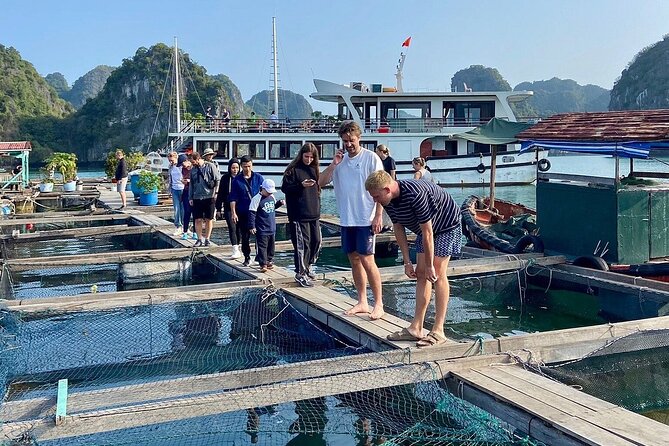 From Hanoi/Cat Ba: Lan Ha-Ha Long Bay Full Day Boat trip - Key details before you book