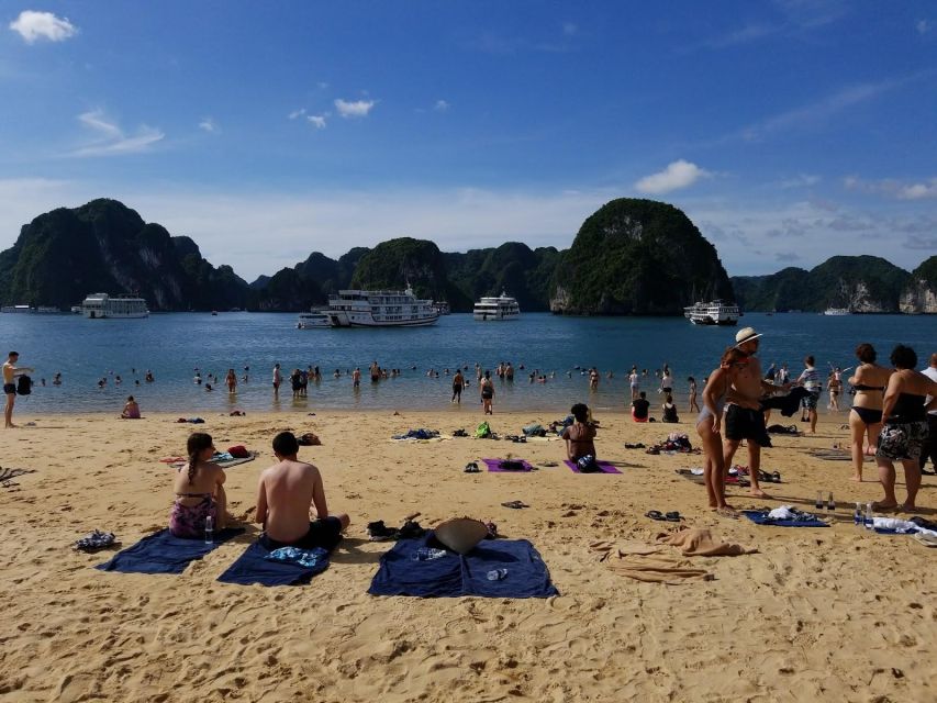 From Hanoi: Halong Bay Day Trip w/ Cave, Island & Kayak - Vietnamese seafood lunch with vegetarian choices