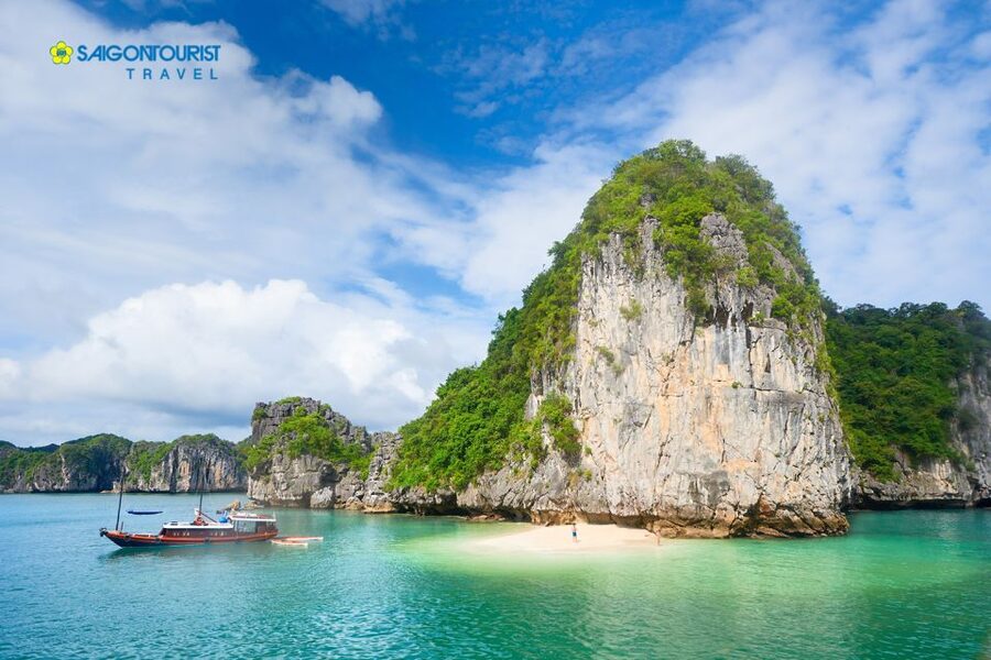 From Hanoi: Halong Bay Day Trip with Lunch and Transfers - What the $48 price really covers