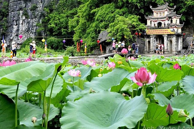 From Hanoi: Hoa Lu, Tam Coc, and Mua Cave Scenic Day Trip - Why this Ninh Binh day trip works from Hanoi