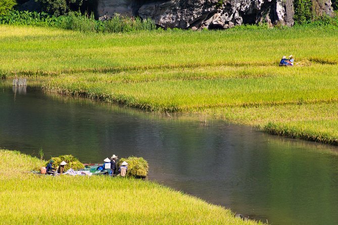 From Hanoi: Hoa Lu - Tam Coc boating - Cycling & Mua Cave visit - Two hours on the Tam Coc or Trang An water route