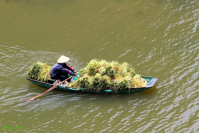 From Hanoi: Hoa Lu - Tam Coc boating - Cycling & Mua Cave visit - Cycling through Ninh Binh’s countryside