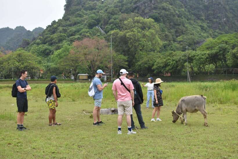 From Hanoi: Ninh Binh, Hoa Lu, Tam Coc, & Mua Cave Day-Trip - Climbing nearly 500 steps at Mua Cave