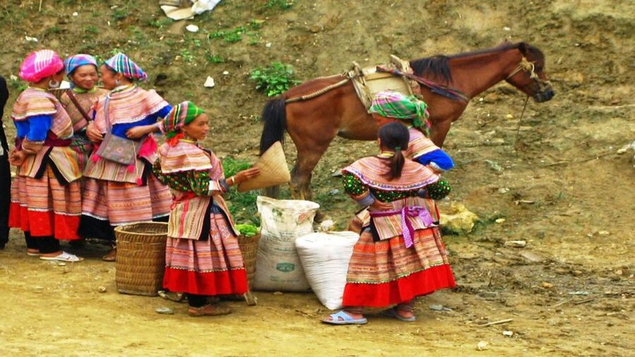 From Hanoi: Sapa 3-Day Medium Trek and Limousine Trip - Who will enjoy this trek most