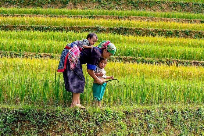 From Hanoi: Sapa Real Experience 2-Day 1 Night at Ethnic Homestay - Dinner, cooking, and the evening together