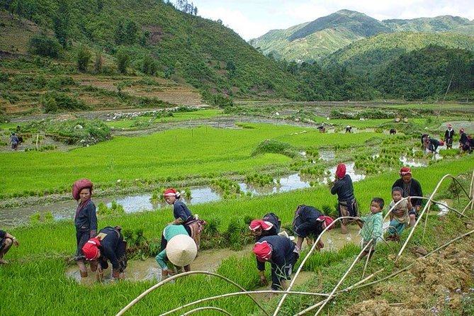 From Hanoi: Sapa Real Experience 2-Day 1 Night at Ethnic Homestay - Sapa town and the first mountain paths