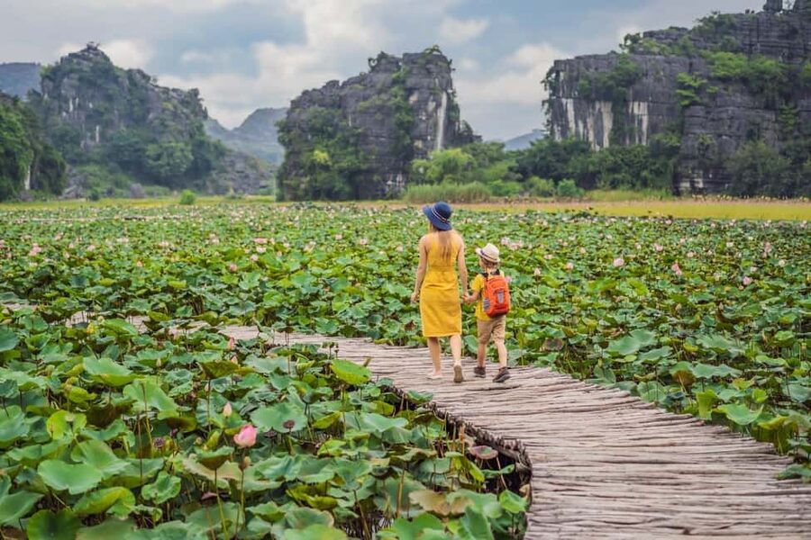 From Hanoi: Trang An Eco-tourism -Bai Dinh pagoda & Mua Cave - Who should book this Ninh Binh day trip?