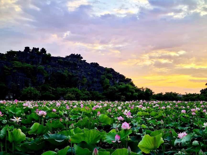 From Hanoi: Trang An eco-tourism - Hoa Lu ancient & Mua Cave - Mua Cave and the 500 steps to the summit