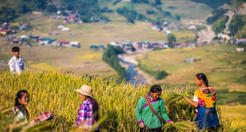 From Hanoi: Trek and Stay: 3-Day Sapa Highlands Adventure - Who should book this Sapa adventure?