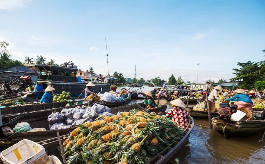 From HCM: Mekong Delta & Cai Rang Floating Market 2-Day Tour - Leaving Ho Chi Minh City for Vinh Trang Pagoda