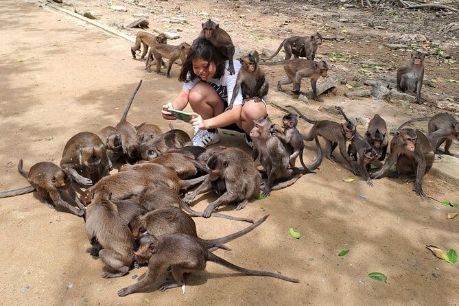 From Ho Chi Minh: Can Gio Trek – Monkey Island & Crocodile Farm - Crocodiles at Hoa Ca, with realistic expectations