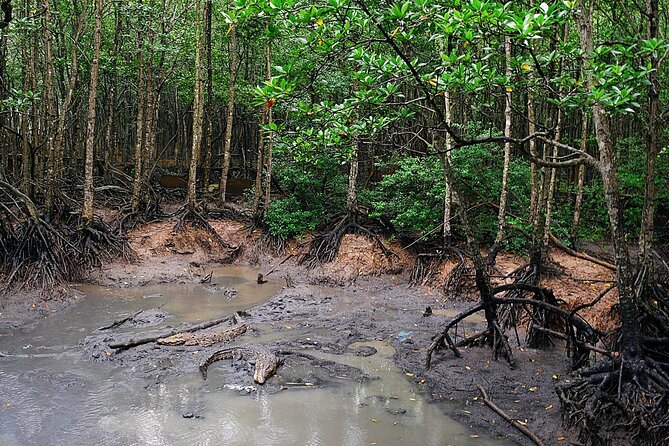 From Ho Chi Minh: Can Gio Trek – Monkey Island & Crocodile Farm - Is $28.50 good value?