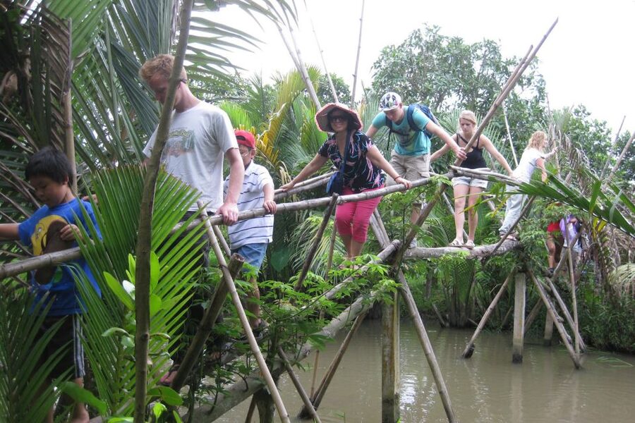 From Ho Chi Minh City: Mekong Delta VIP Tour by Limousine - Cruising the Mekong from My Tho