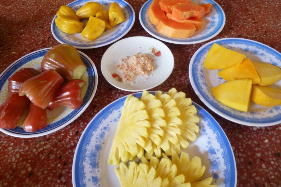 From Ho Chi Minh City: Mekong Delta VIP Tour by Limousine - A village visit with fruit, honey, and music