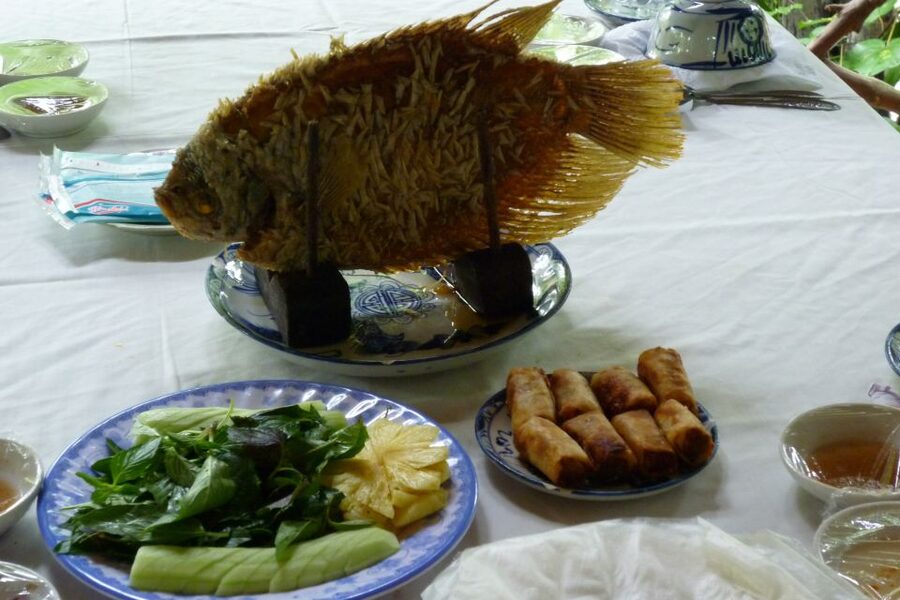 From Ho Chi Minh City: Mekong Delta VIP Tour by Limousine - Vietnamese lunch and a flexible half-hour