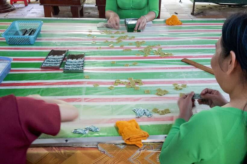 From Ho Chi Minh: Mekong Delta Small Group Day Trip - The optional-feeling extras: bicycles and other activities