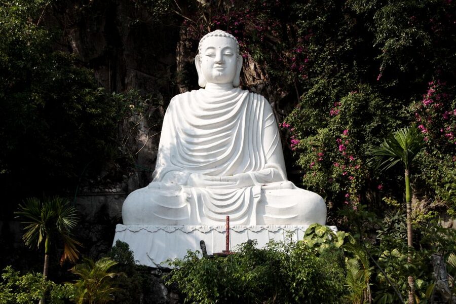 From Hoi An: Day Tour of My Son Temples and Marble Mountain - Who should book this day?
