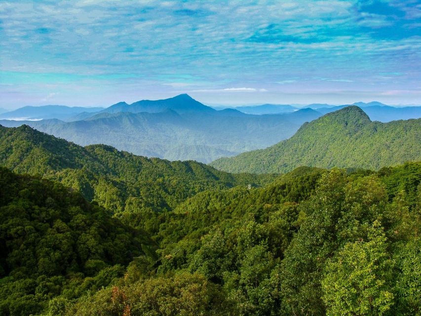 From Hue/Da Nang/Hoi An: Bach Ma National Park Trekking Tour - Picnic lunch beside the forest trails
