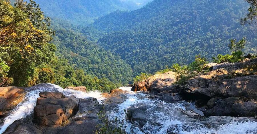 From Hue/Da Nang/Hoi An: Bach Ma National Park Trekking Tour - What the guide adds to the walk