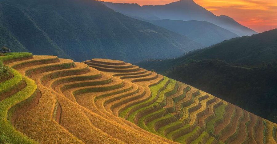 From Sapa: 1-Day Guided Trek to Lao Chai & Ta Van with Lunch - Why this Sapa trek is worth your time