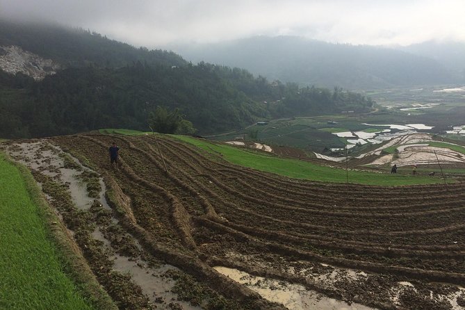 From Sapa: 2-Day Trek Through Authentic Villages in North - Sapa - Starting at 9:00 AM in Sapa