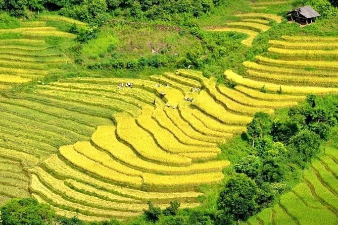 From Sapa: 2 Days 1 Night Trek Over Night At Homestay - Supan provides a clear finish