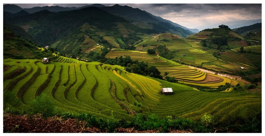 From Sapa: Terrace Fields and Local Villages Trek with Lunch - Lai Chai Village and Local Minority Culture