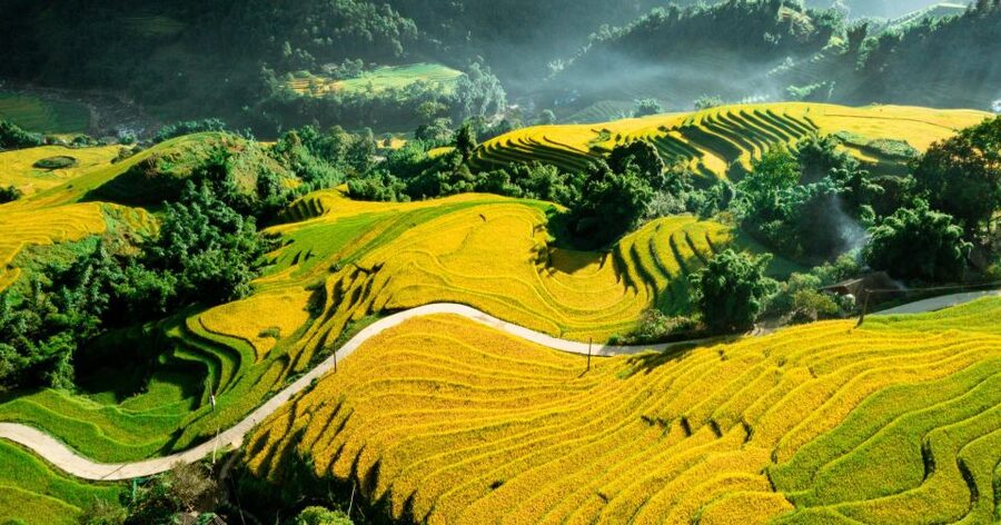 From Sapa: Terrace Fields and Local Villages Trek with Lunch - Bamboo Forest Paths and a Waterfall Stop