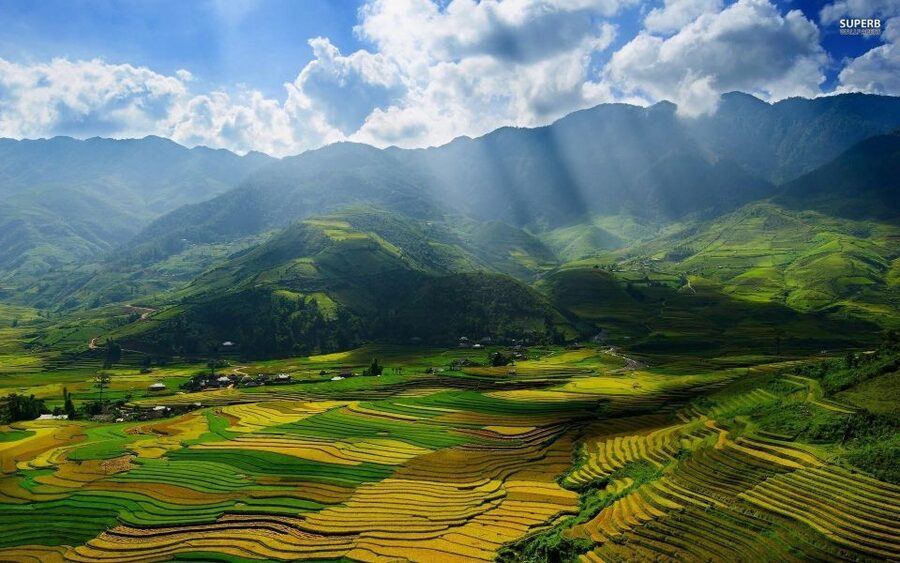 From Sapa: Terrace Fields and Local Villages Trek with Lunch - Local Lunch After the Trek