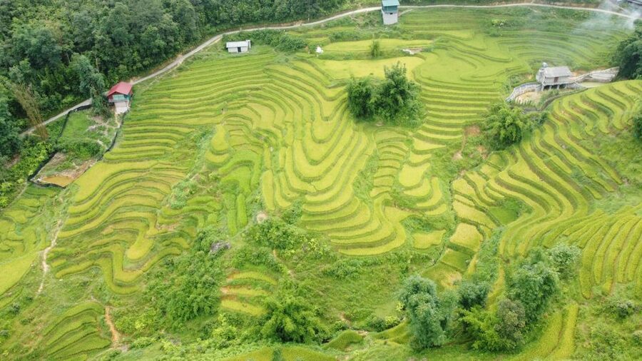 From Sapa: Terrace Fields and Local Villages Trek with Lunch - Who Will Enjoy This Sapa Trek Most?