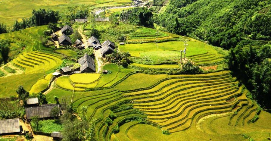 From Sapa: Terrace Fields and Local Villages Trek with Lunch - Rice, Corn, and Potato Fields Beyond the Town
