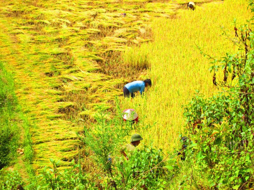 From Sapa: Waterfalls, Trekking and Tribal Villages Tour - Price, group size, and what you receive