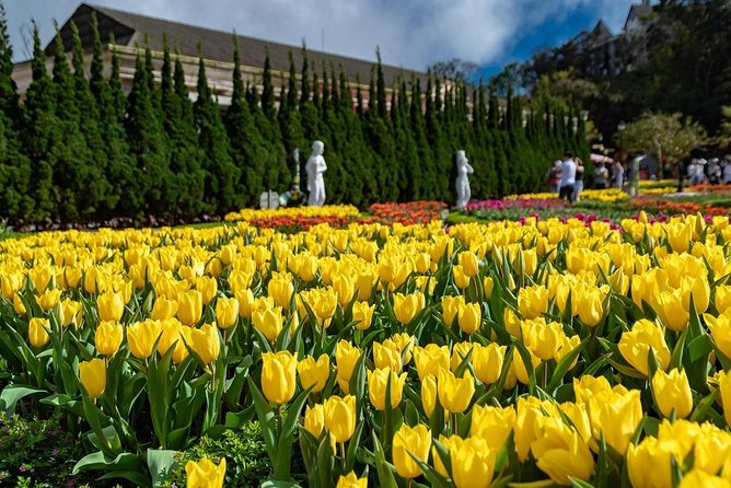 Full day Ba Na Hill with Cable Car and Lunch from Da Nang - Buffet Lunch and What the $64.94 Price Buys