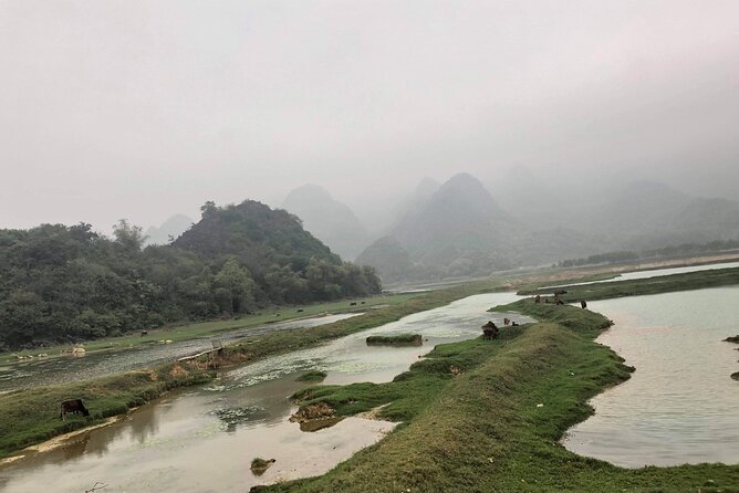 Full-Day Cuc Phuong National Park Hiking Tour - The big ancient tree and what it adds