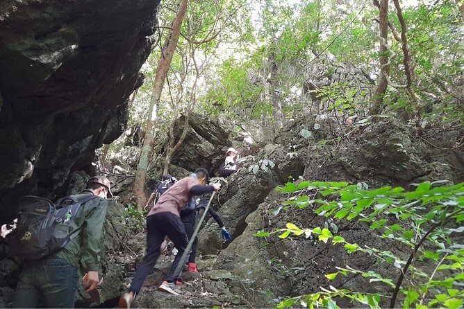 Full-Day Cuc Phuong National Park Hiking Tour - Wildlife conservation and the primate rescue visit