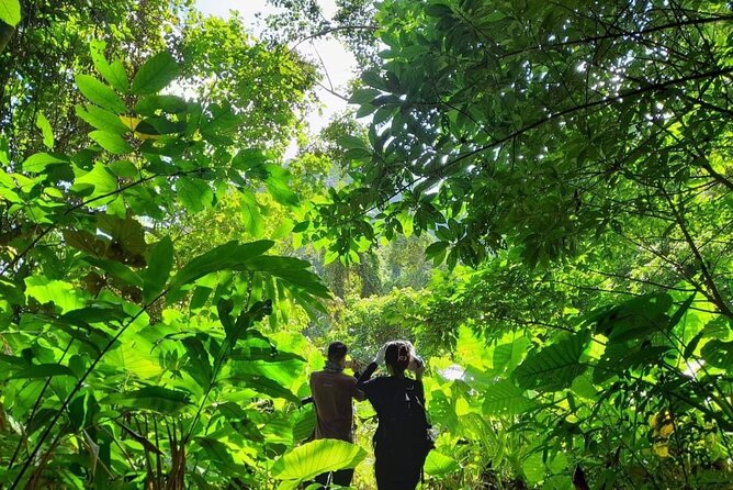 Full-Day Cuc Phuong National Park Hiking Tour - What the guides add to the day