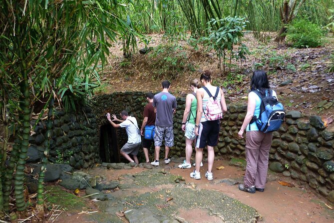 Full-Day DMZ Tour: 17th Parallel, Vinh Moc Tunnel & Khe Sanh Base - Bodhi School: a quieter wartime site