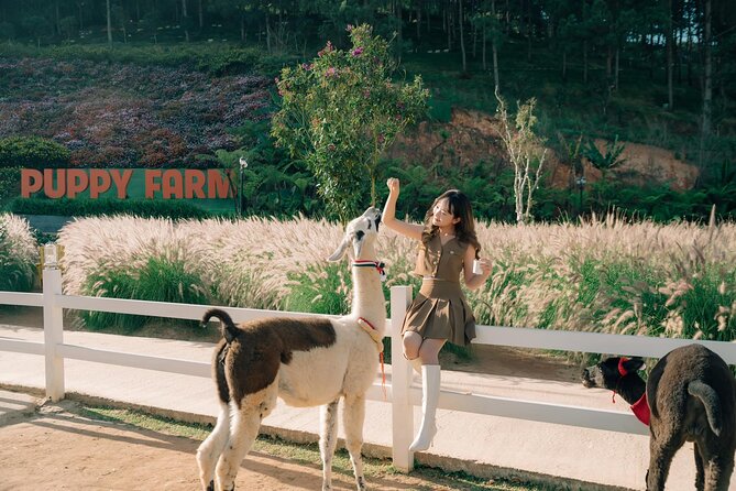 Full-Day Highlight of Da Lat –The famous tourist attractions 2025 - Key points to know before booking