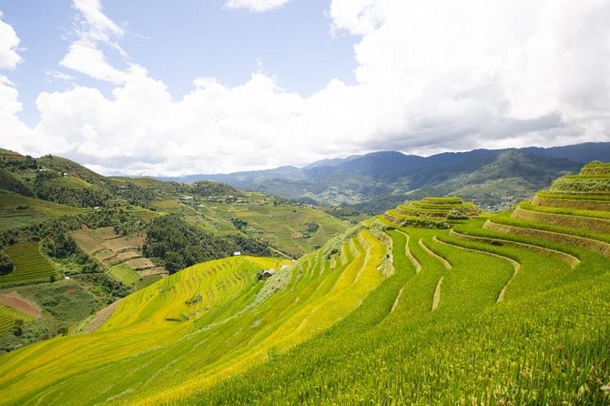 Full Day Private Trekking Mu Cang Chai - La Pan Tan viewpoint and the rice terraces