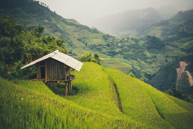 Full Day Private Trekking Mu Cang Chai - Villages, buffalo, and everyday Hmong life