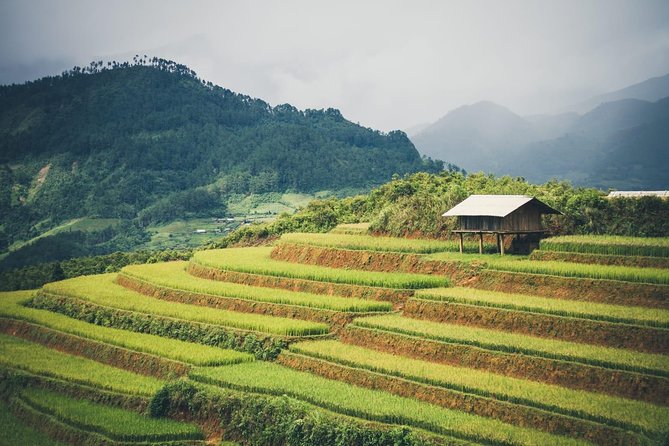 Full Day Private Trekking Mu Cang Chai - Is $80 good value?