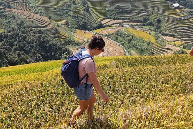 Full Day Private Trekking Mu Cang Chai - Đồi Mâm Xôi, the Raspberry Hill viewpoint