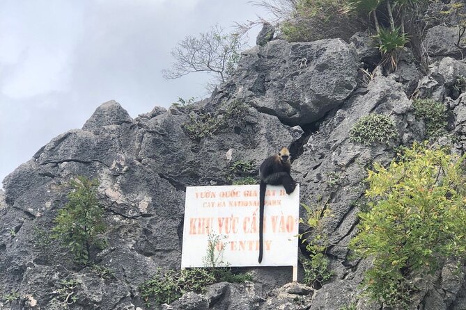 Full day trip to Lan Ha-Ha Long Bay from Cat Ba, avoid the crowds - Starting in Cat Ba at 8:30 a.m.