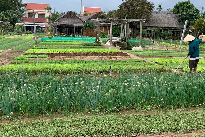 Full Experience Tour: Cooking Class & Basket Boat at Eco-Village - How the guides affect the experience