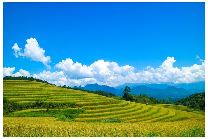 Ha Giang Loop 2D/1N Private Room + Free Dorm Hotel 1N before tour - Starting at Ha Giang’s KM 0 milestone
