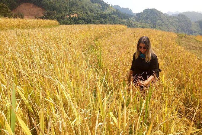 Ha Giang loop 3 or 4 Days, Small Group Tour (within easy riders) - Why an Easy Rider makes sense in Ha Giang
