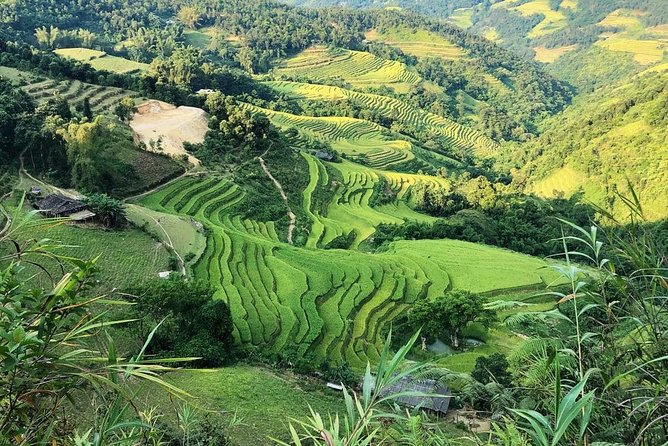 Ha Giang Loop Private Motobike Tour - 4 Days and 3 Nights! - Day 3: Lung Cu, border country, and Hmong culture