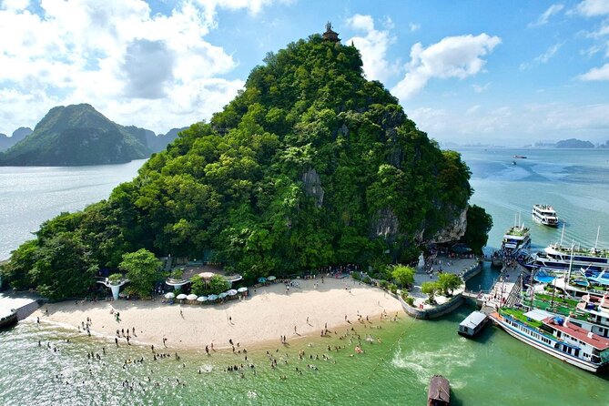 Ha Long Bay Day Cruise From Ha Noi - Afternoon tea, music, and the return to Hanoi