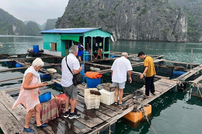 Ha noi: 3D- Halong, Lan ha bay classic cruise, Ninh Binh full day - From Hanoi to Cai Beo Port and Cat Ba Island