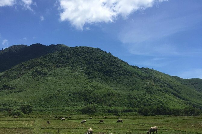 HAI VAN PASS MOTORBIKE TOUR - Top Gear Experience - Tam Giang Lagoon and the fishing village